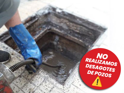 Limpieza de Sillones y Alfombras